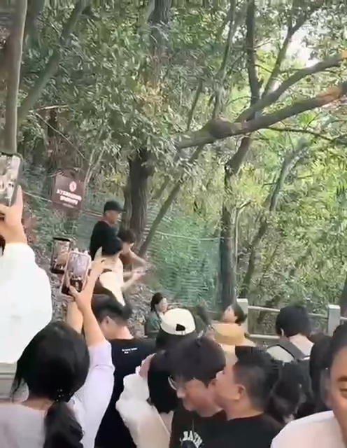 杭州北高峰名场面情侣出行却被闺蜜挖墙脚当场抓包