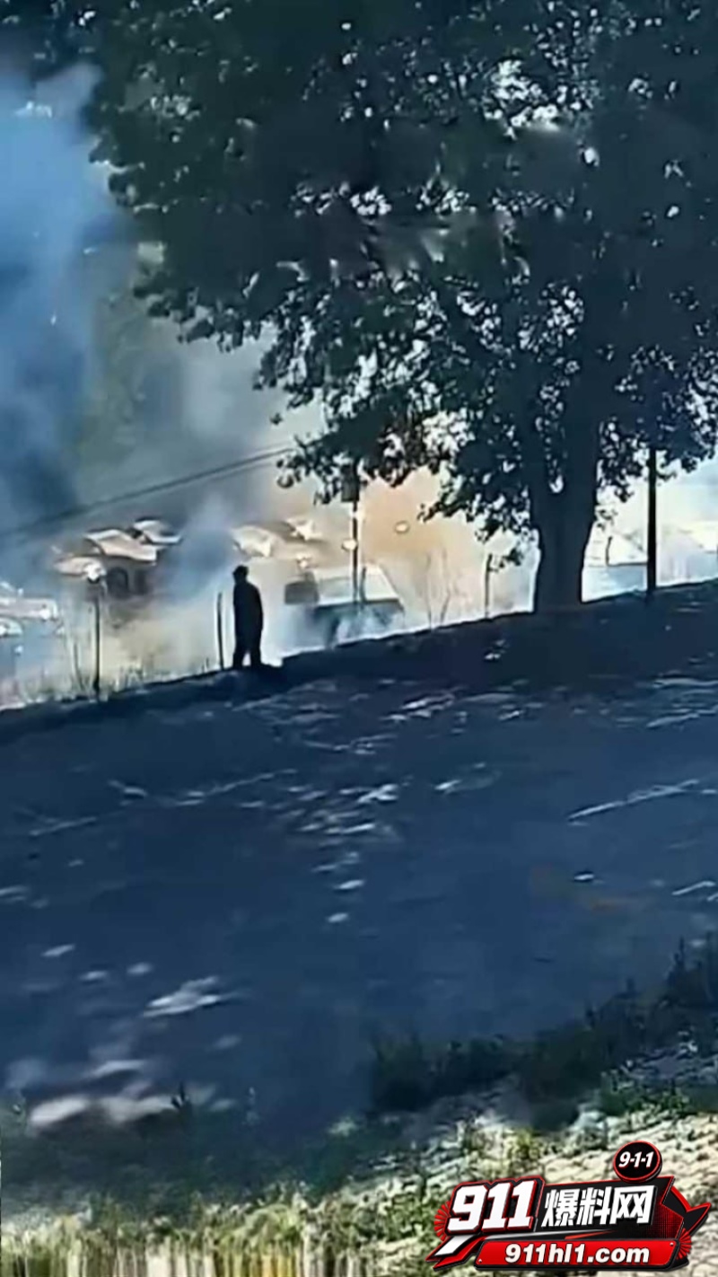 辽宁74岁老人纵火烧车 8