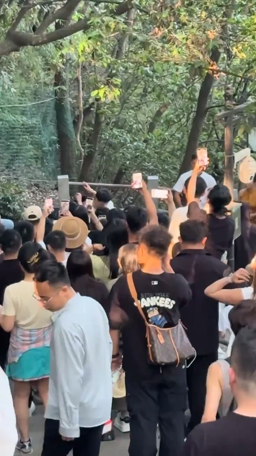 杭州北高峰名场面情侣出行却被闺蜜挖墙脚当场抓包