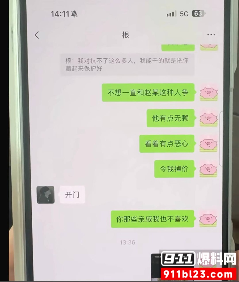 中南大学外国语学院英语专业  井芝 19
