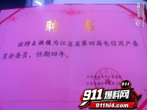 白鹭31 白鹭31