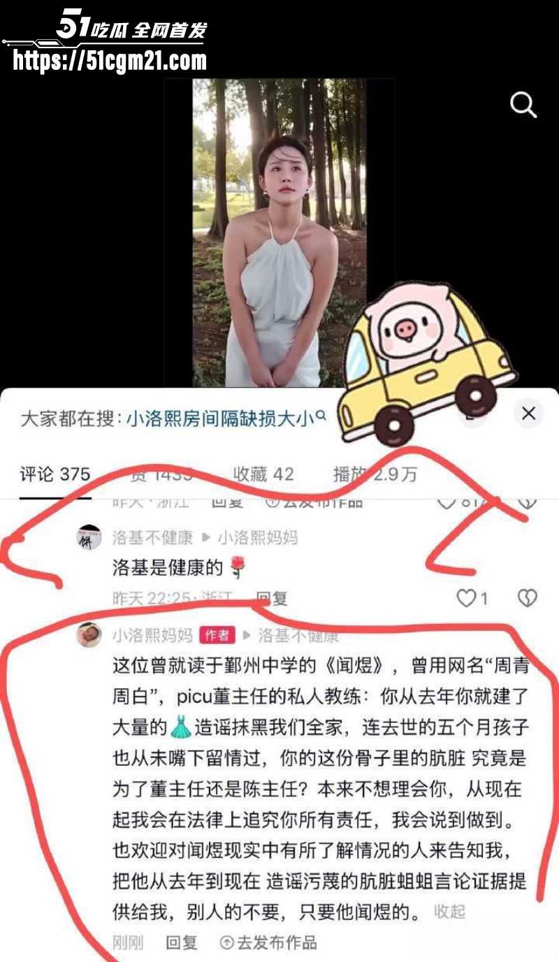 抖音网红小洛熙妈妈医疗事故后续028