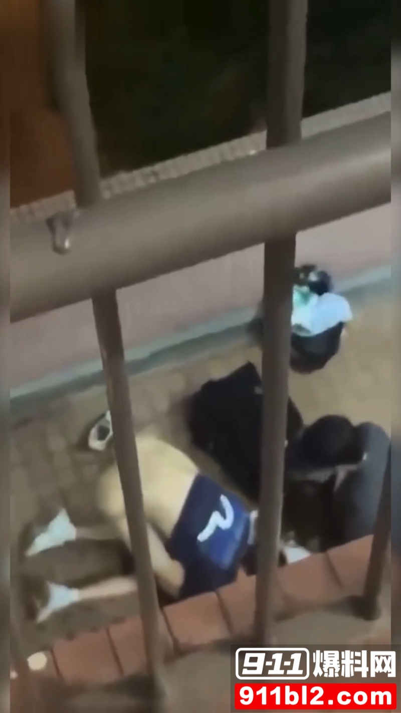 香港屋苑平台3P性爱派对被曝光 2