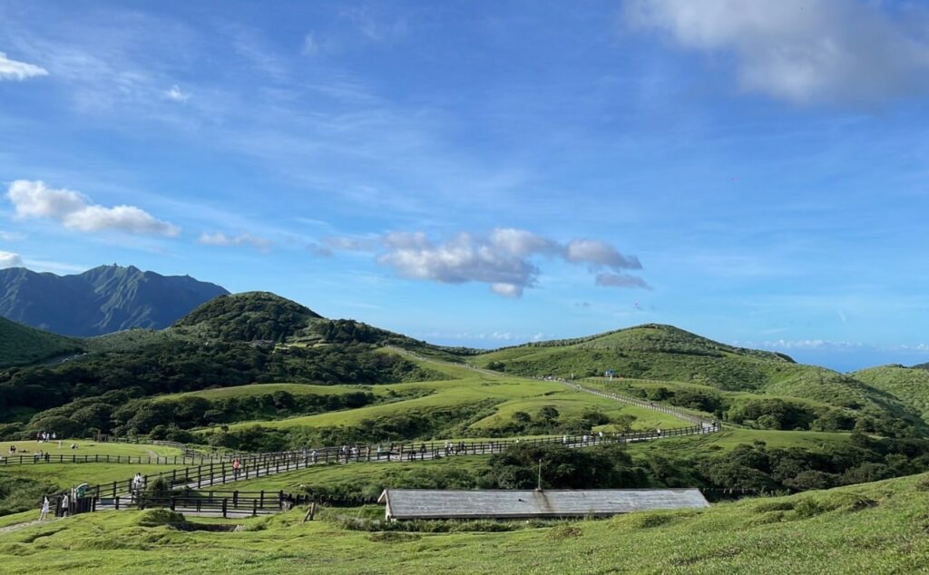 阳明山擎天岗草原24小视频意外拍摄情侣野战作战8分钟完整版
