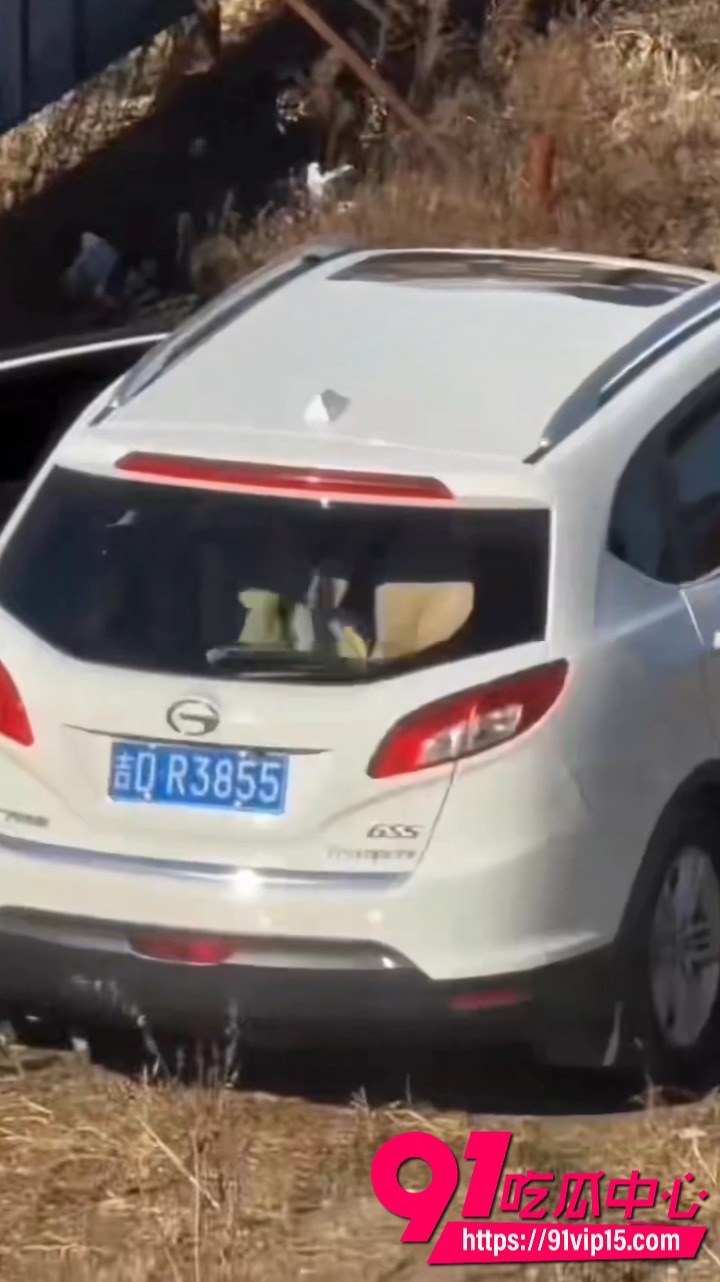 源吉DR3855车主车震视频8