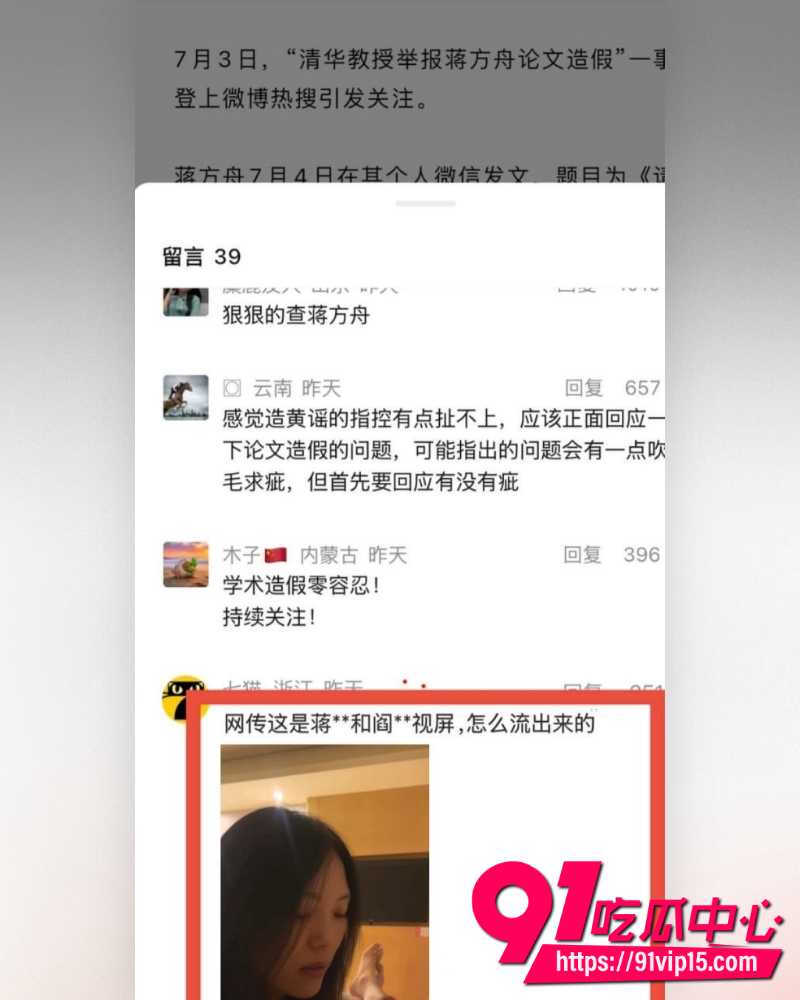 蒋方舟论文造假 24