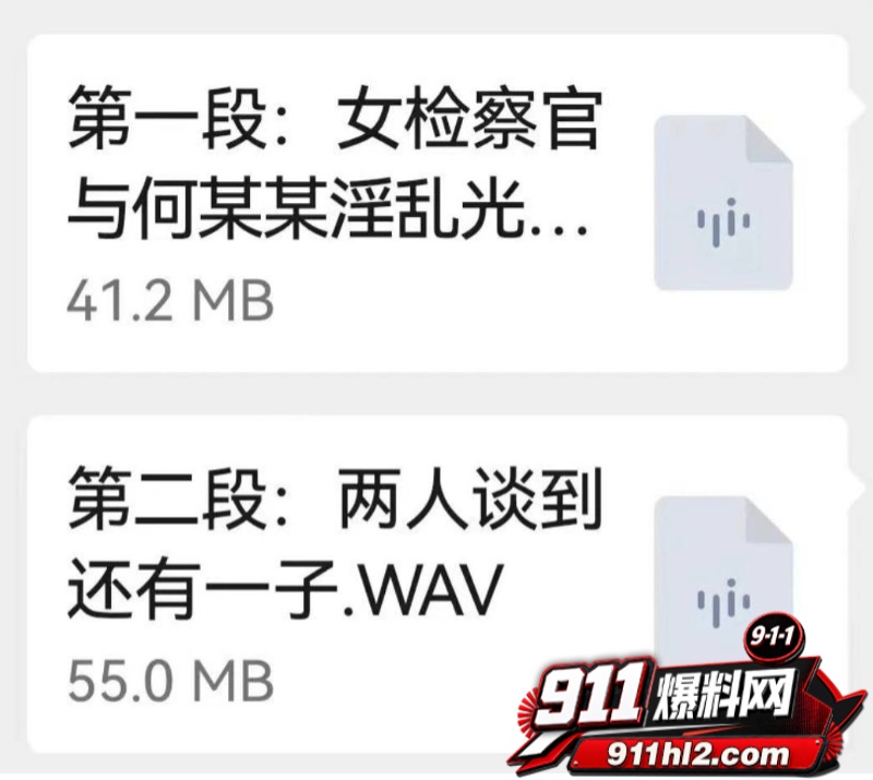 重庆检察院第五分院女检查官王维丹 53