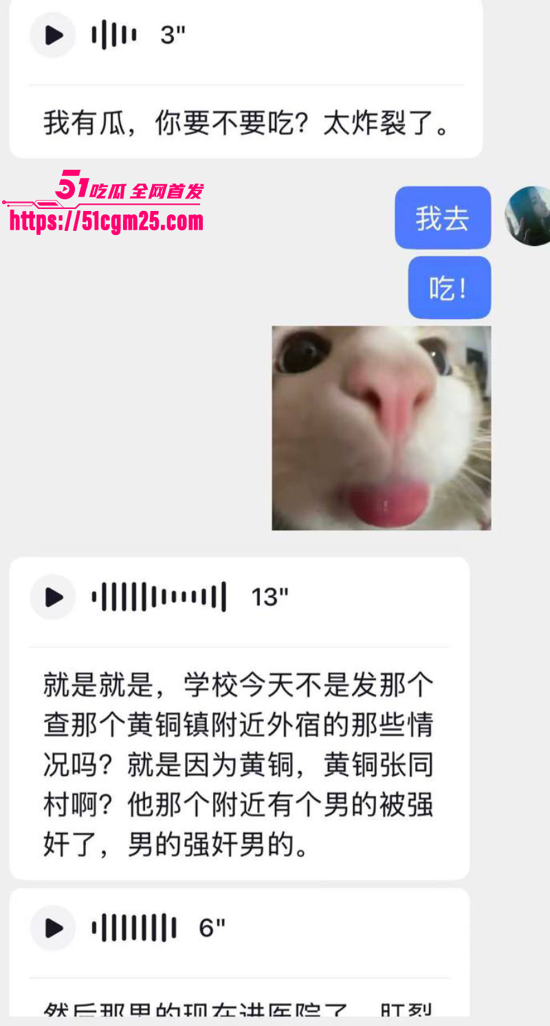 安徽师范学院 惊现变态男同 15