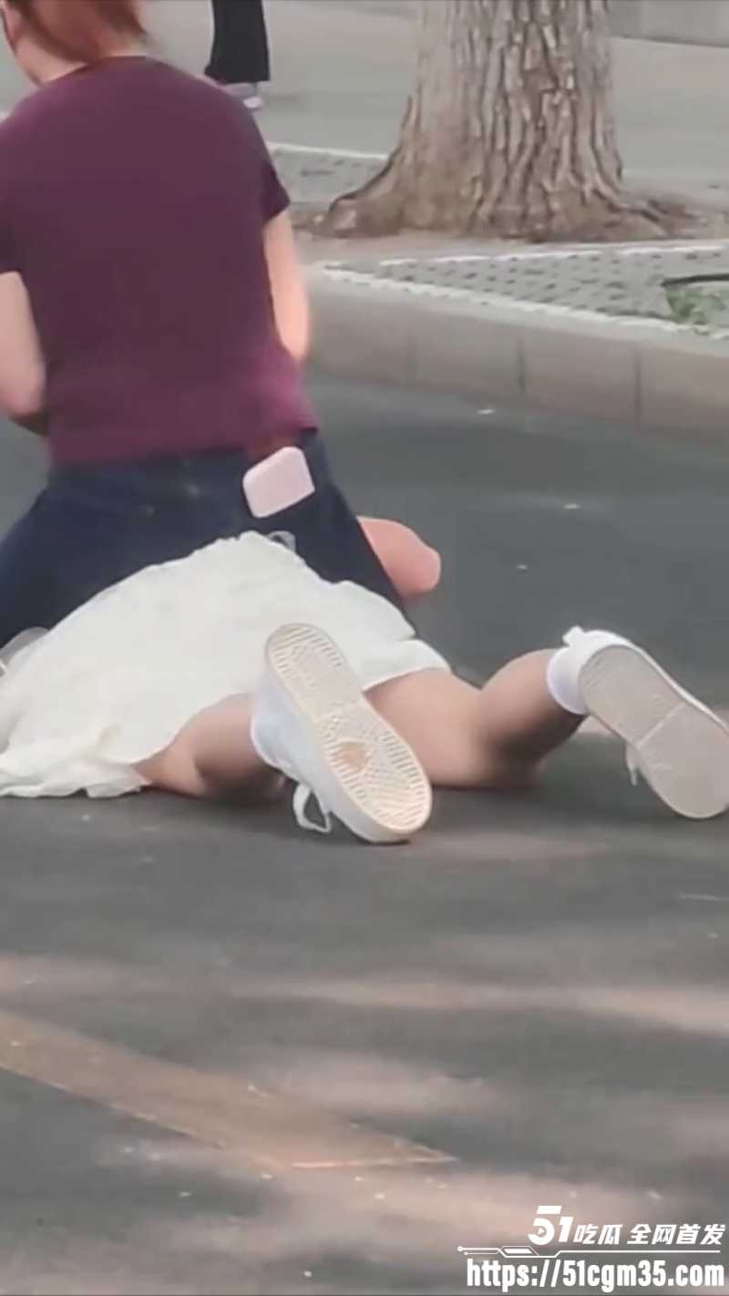 紫衣大妈街头暴揍白裙美女5 紫衣大妈街头暴揍白裙美女5