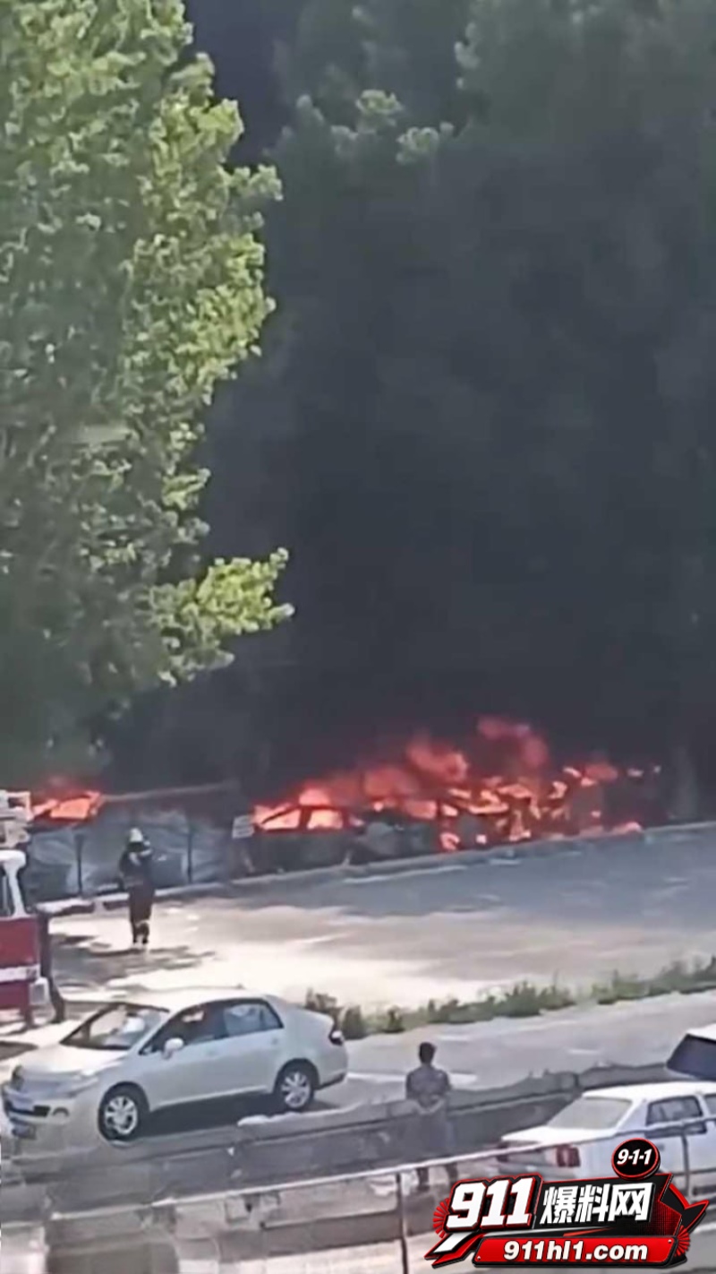 辽宁74岁老人纵火烧车 9