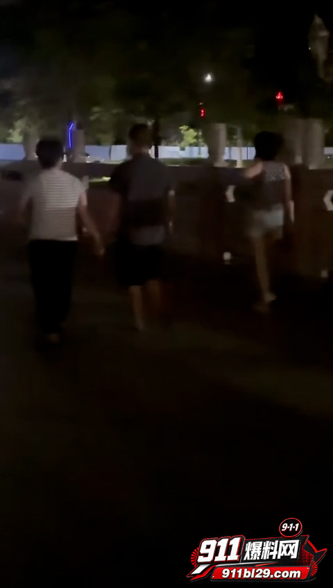 反差偷情老头1