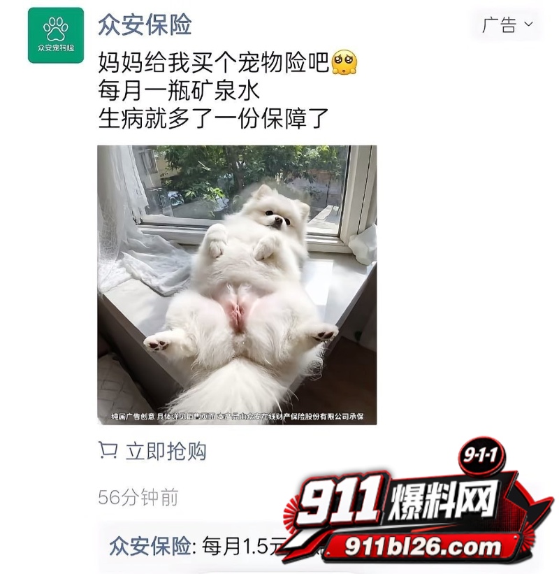女性私密部位意外曝光 13