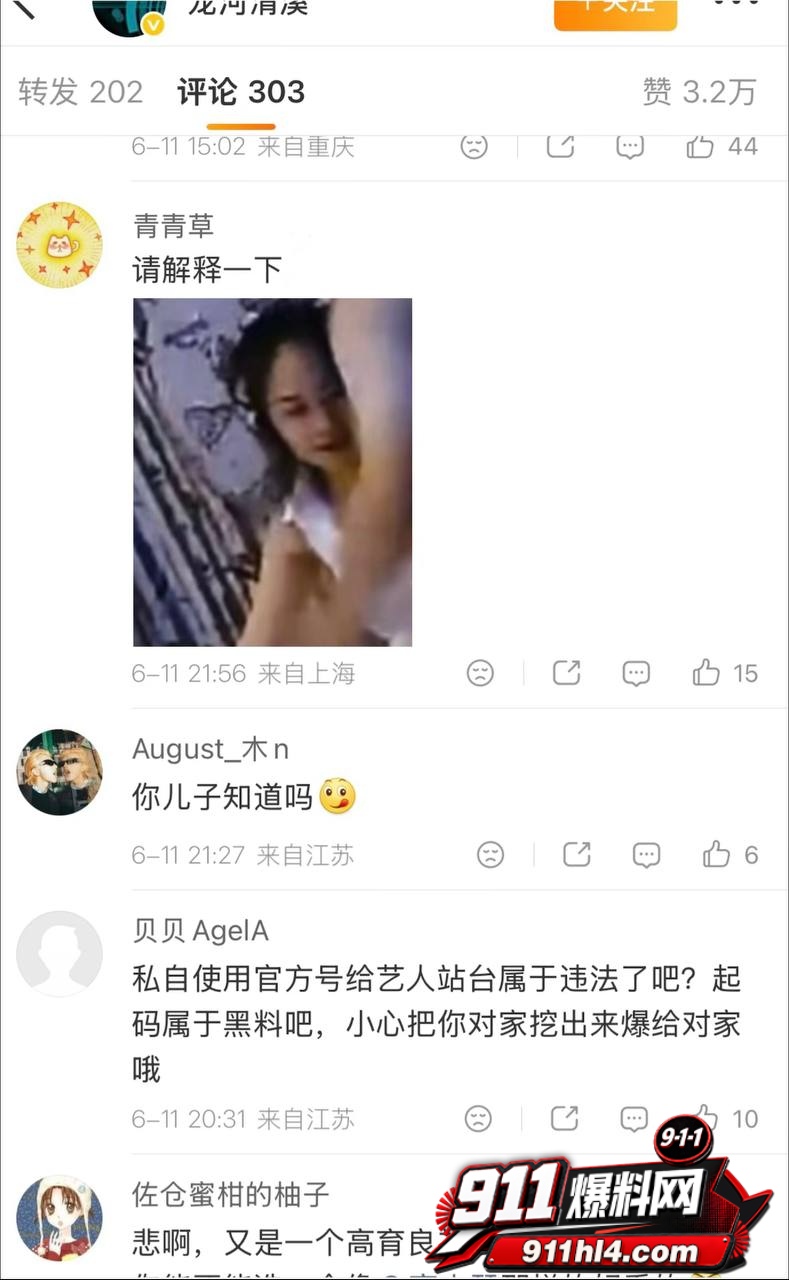 白鹭63 白鹭63