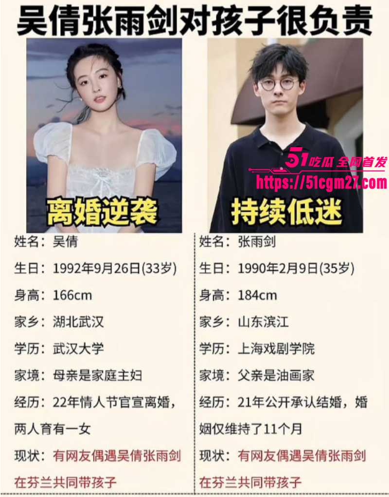 顶流女星 杨幂 出席活动现孕肚 15