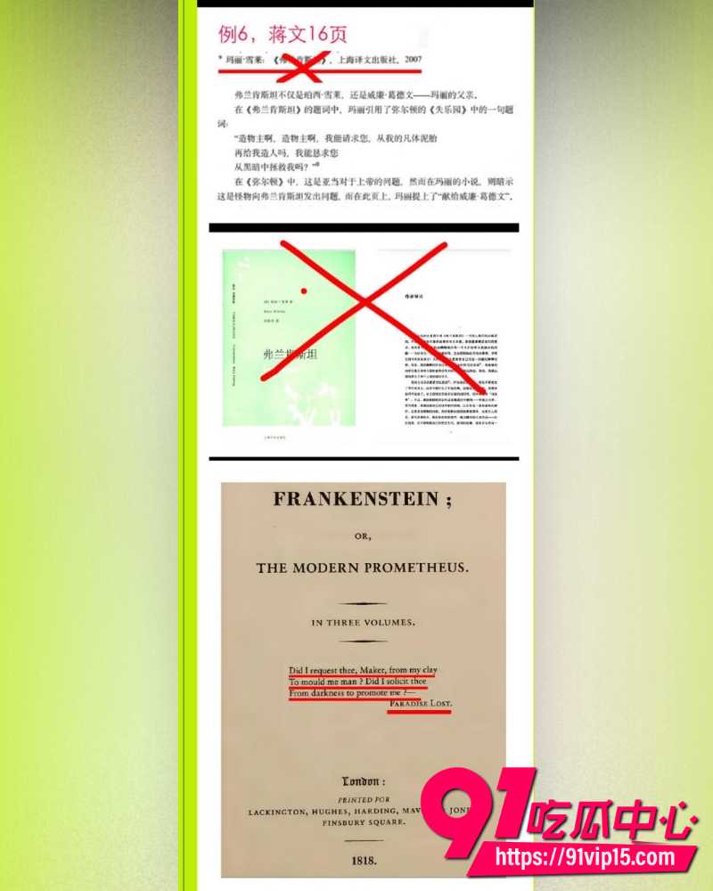 蒋方舟论文造假 16