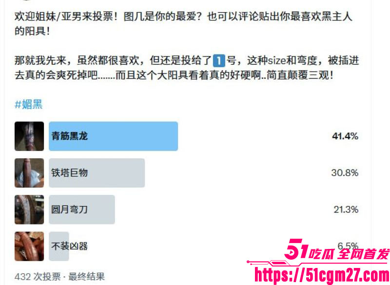 推特博主Monica公开狂推媚黑事件 12