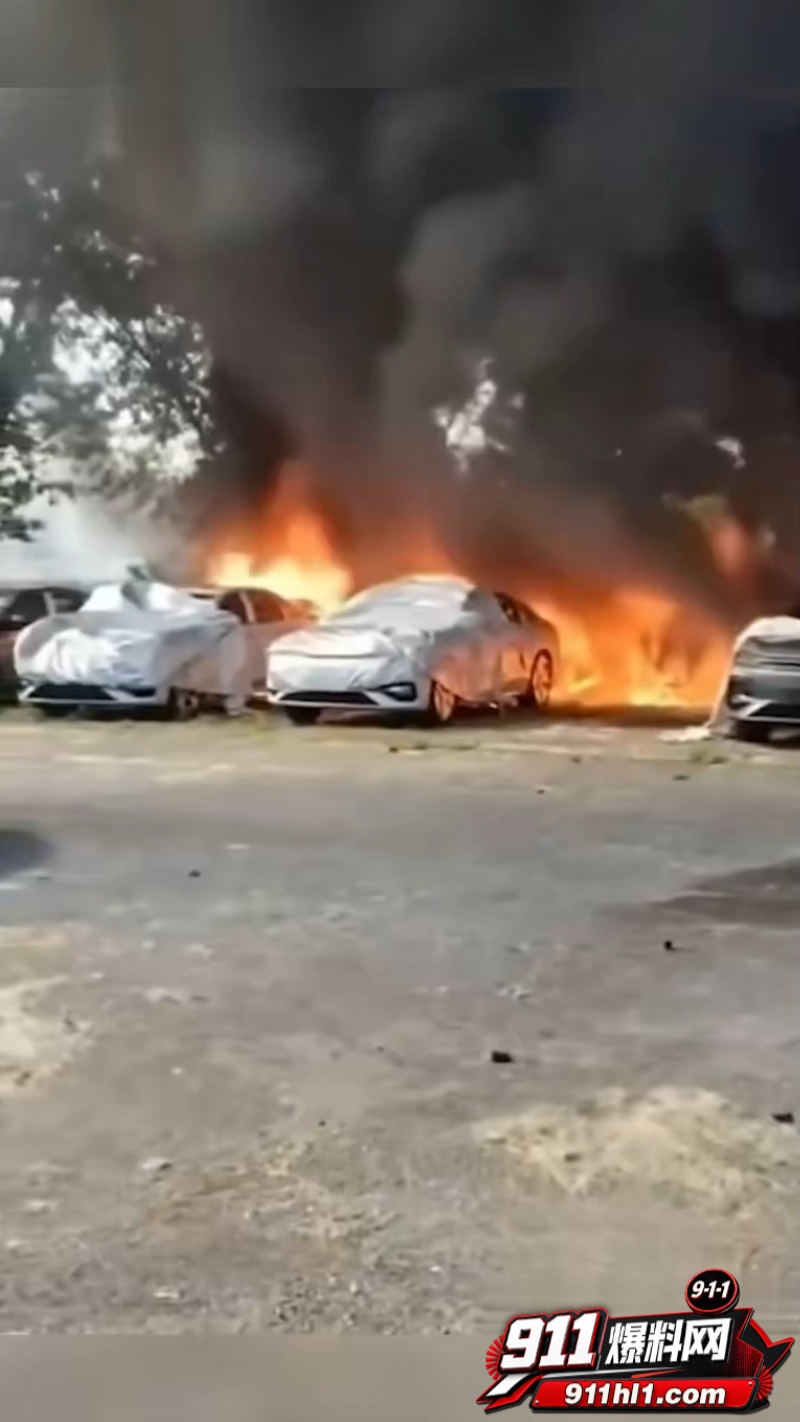 辽宁74岁老人纵火烧车 1