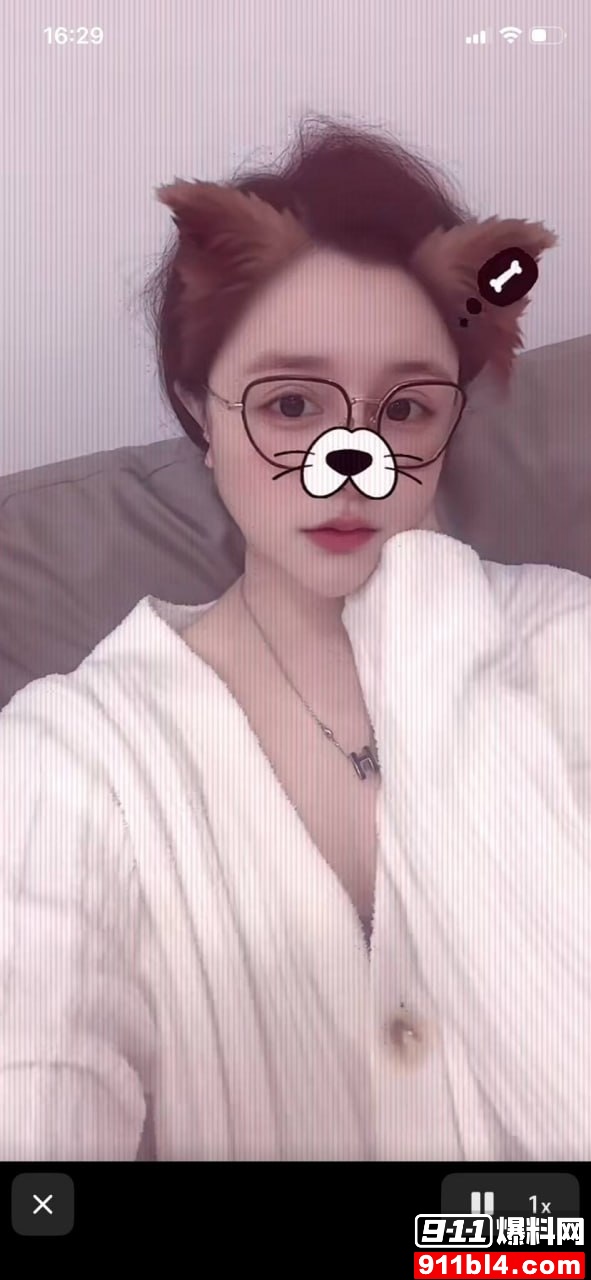 小懒猪12