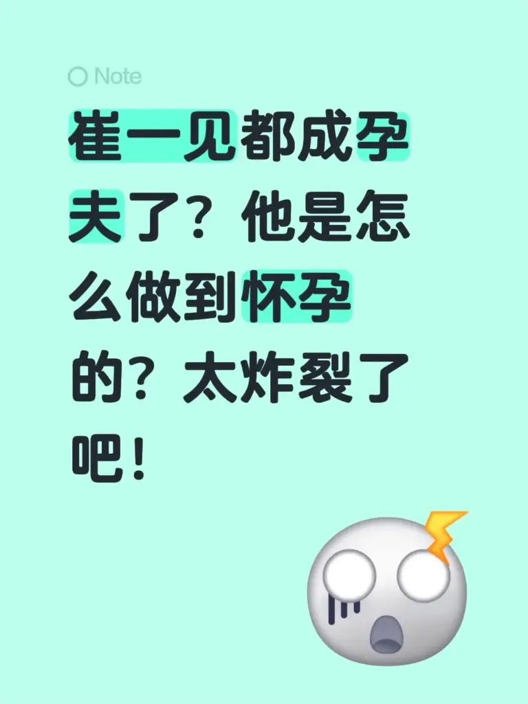 三观炸裂抖音神人男网红崔一见自制孕夫日记4部完整版