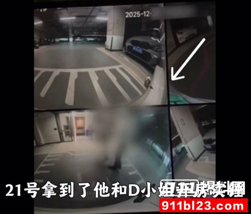 百万粉珠宝女博主控诉丈夫出轨女助理 29