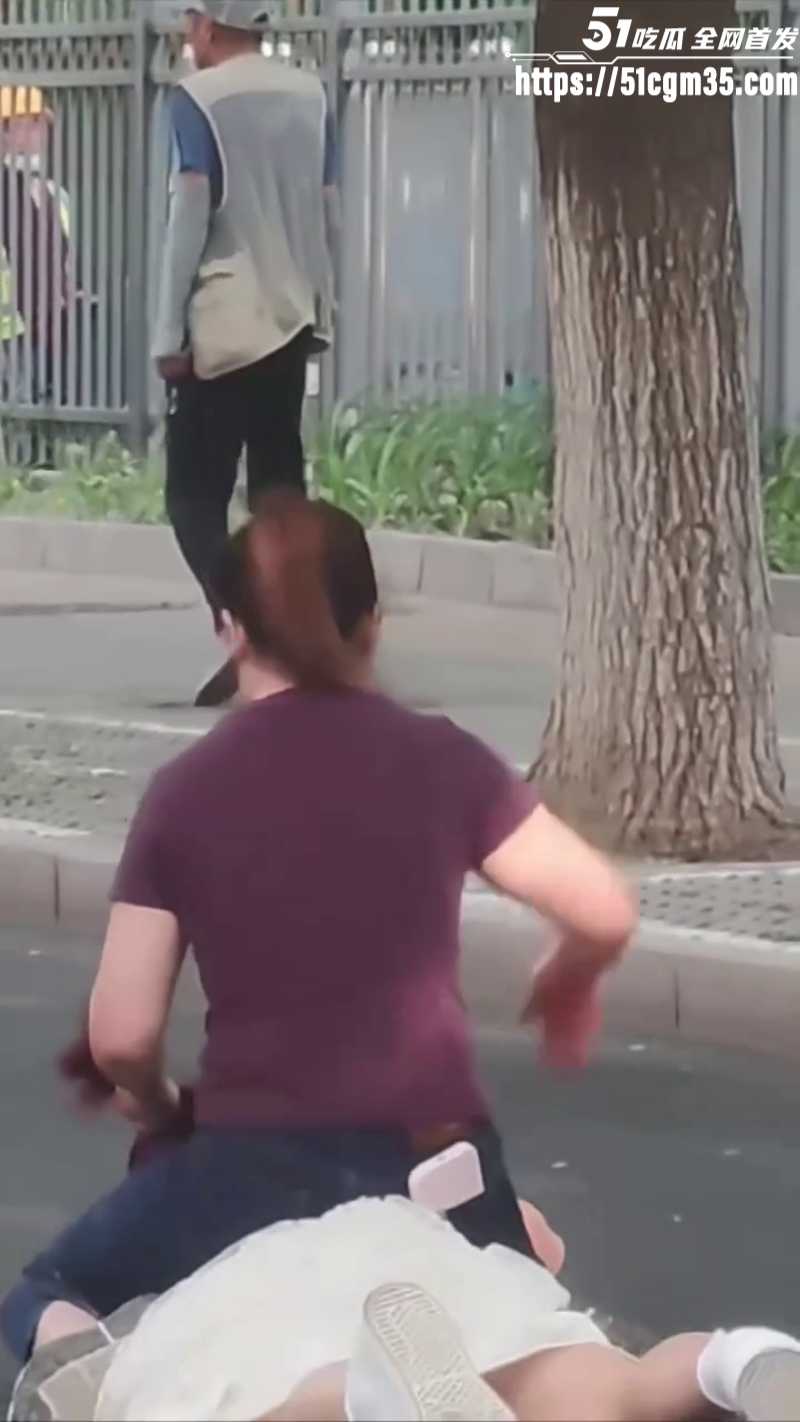 紫衣大妈街头暴揍白裙美女6 紫衣大妈街头暴揍白裙美女6
