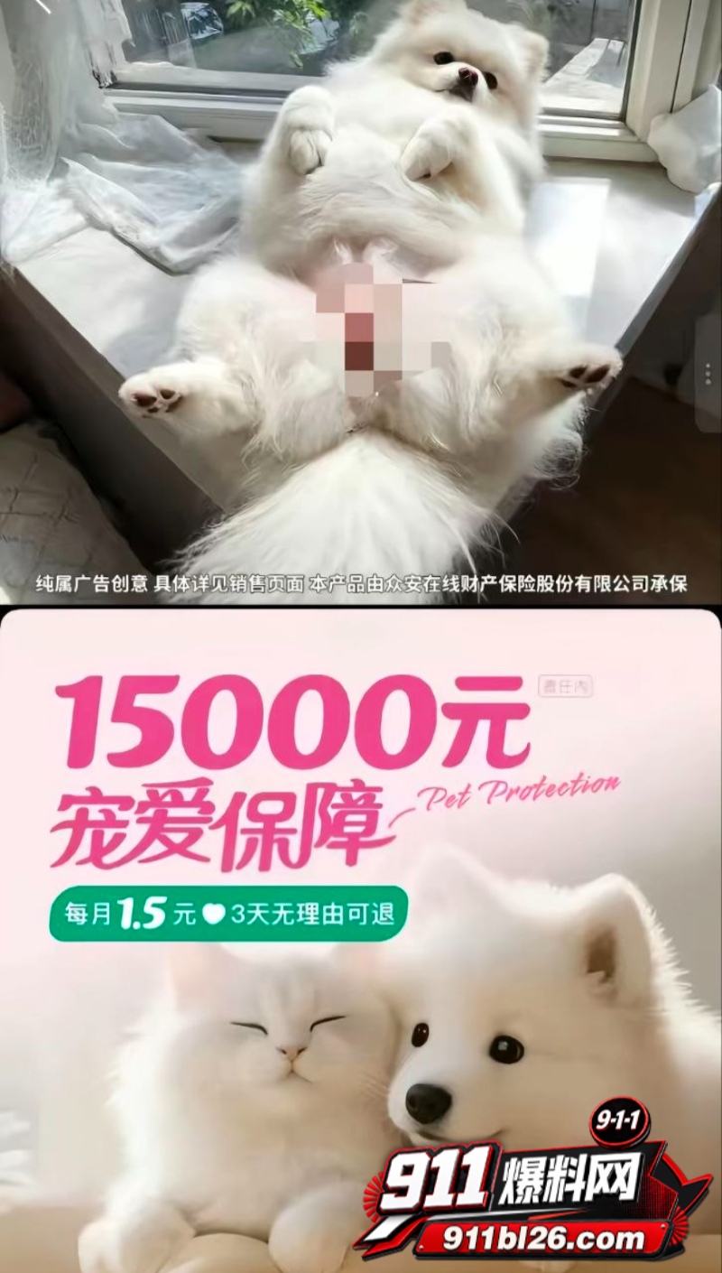 女性私密部位意外曝光 6