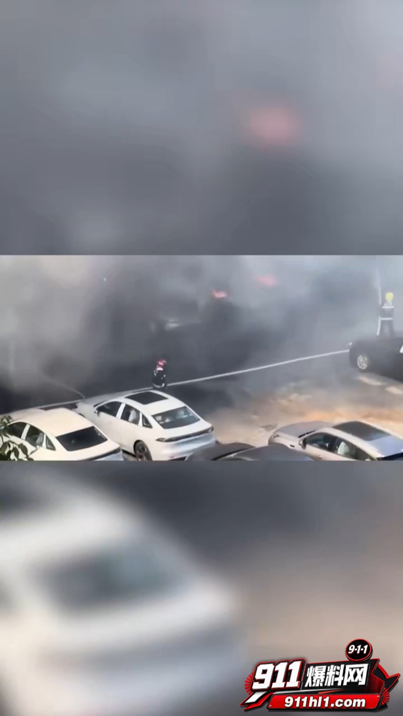 辽宁74岁老人纵火烧车 2
