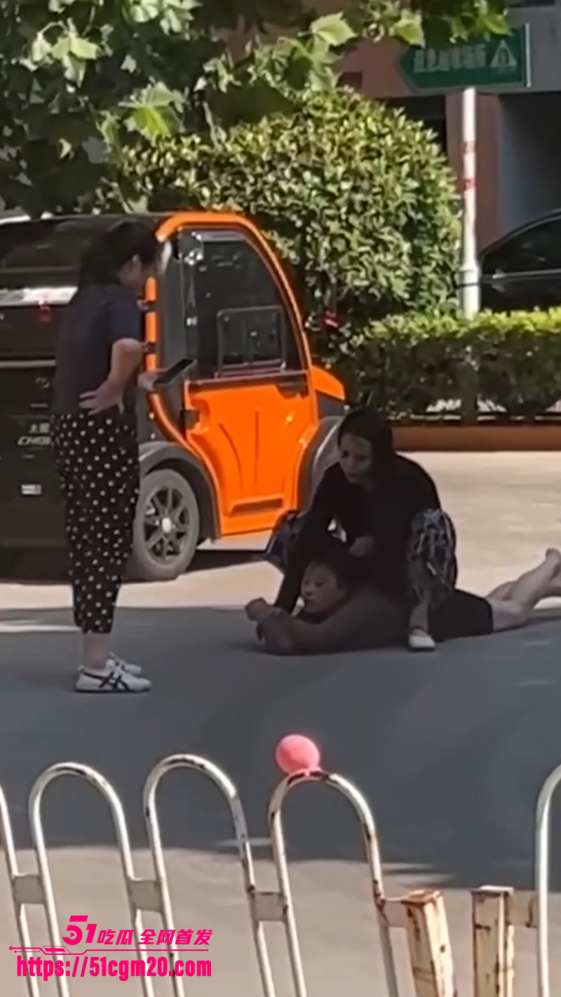 正妻马路怒揍小三 5