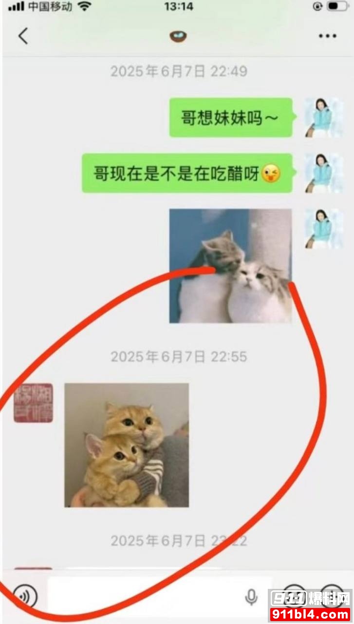 杨念群32