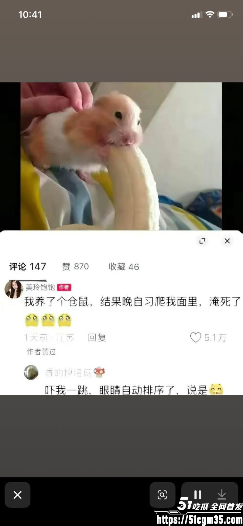 探花女主美玲饱饱与涂涂小布强势回归 9 探花女主美玲饱饱与涂涂小布强势回归 9