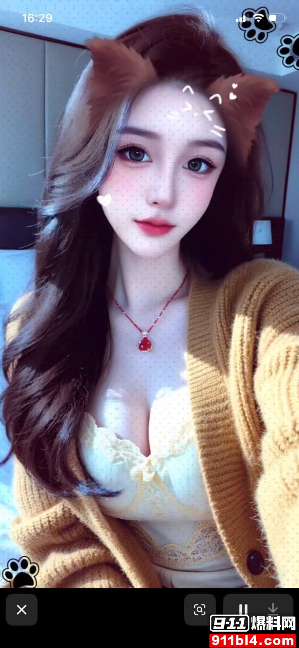 小懒猪13