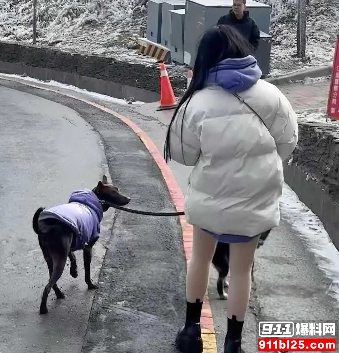 若若5