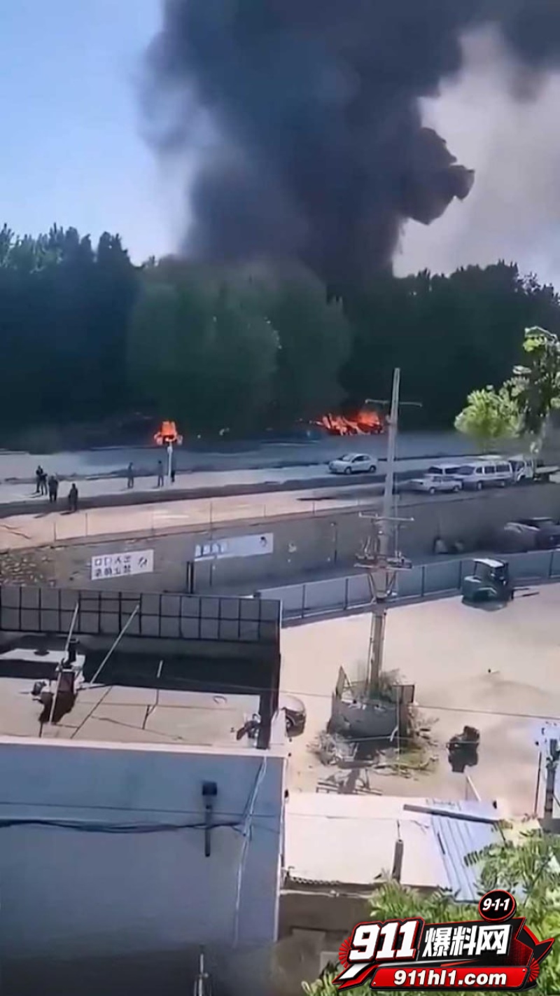 辽宁74岁老人纵火烧车 10