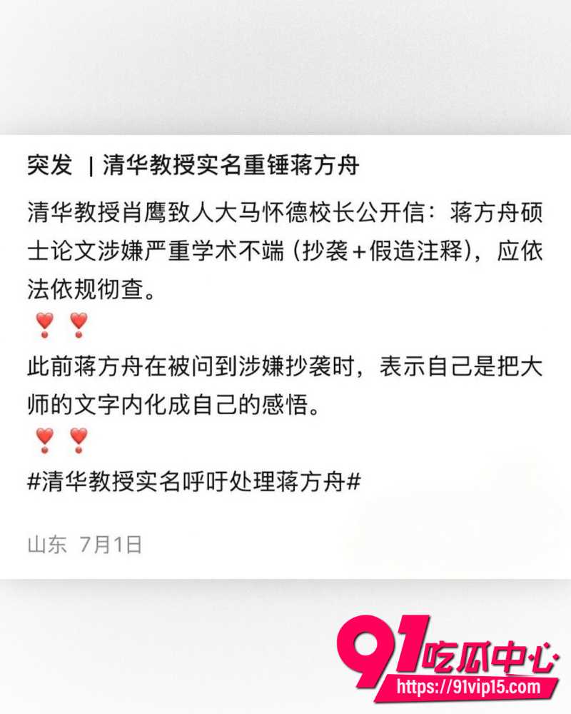 蒋方舟论文造假 6