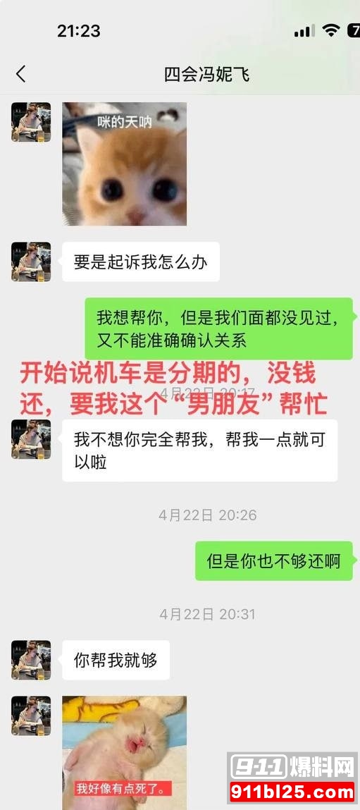 冯妮飞27 冯妮飞27