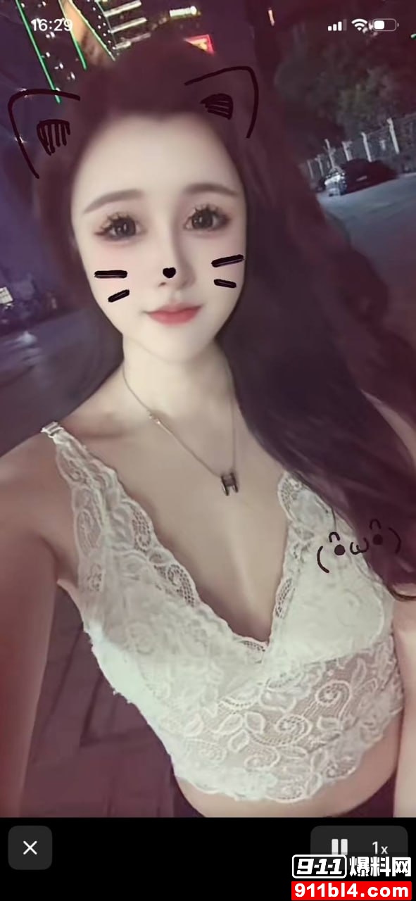 小懒猪11