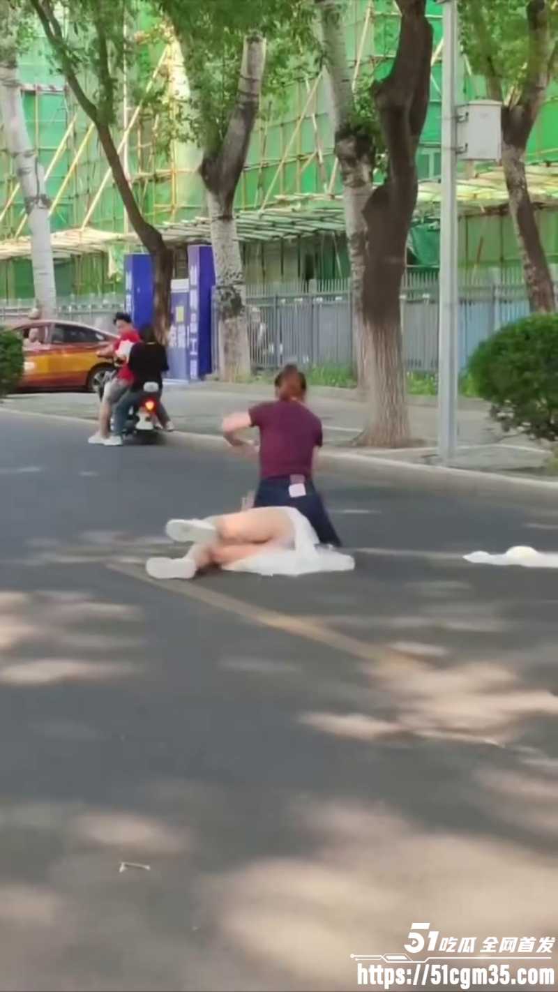 紫衣大妈街头暴揍白裙美女1 紫衣大妈街头暴揍白裙美女1
