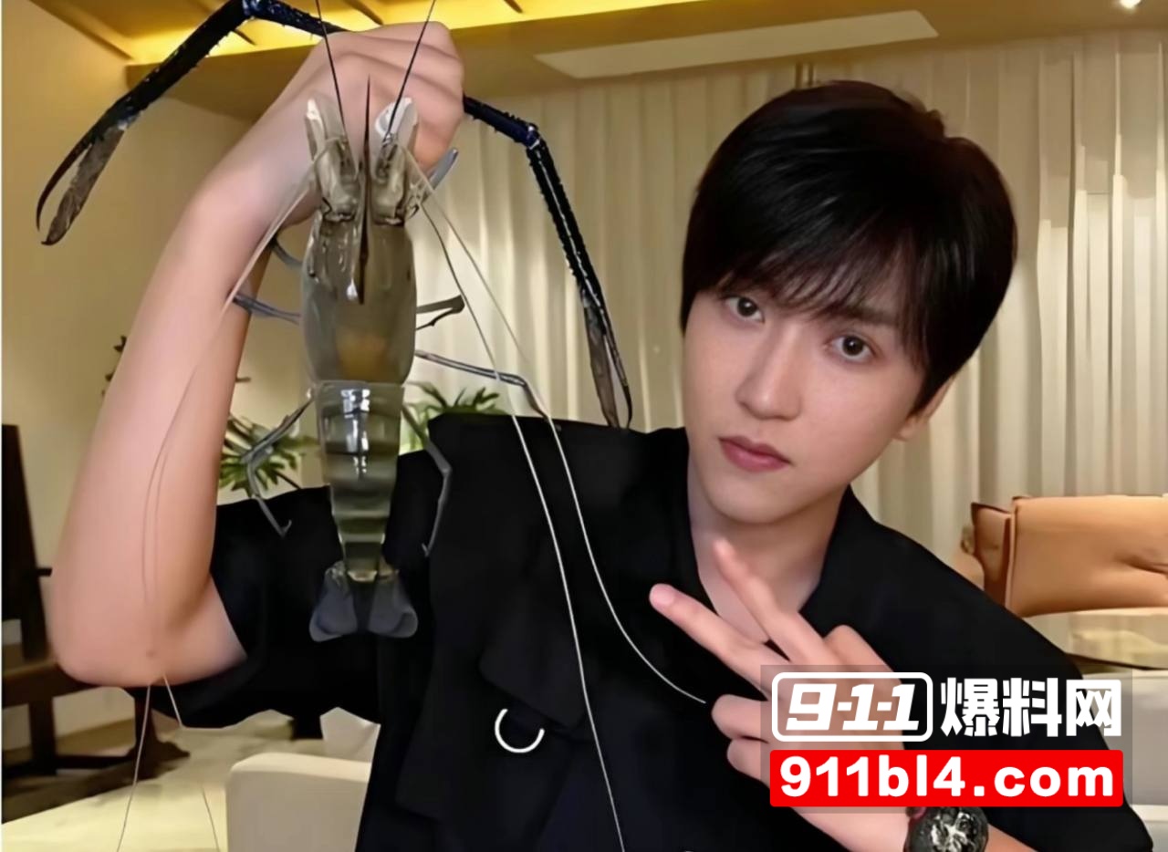 4000万粉网红白冰偷税4