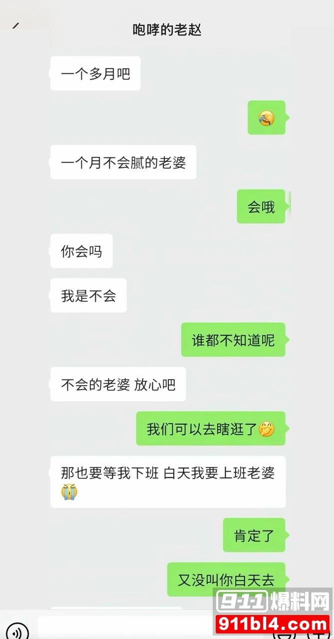 赵军29 赵军29