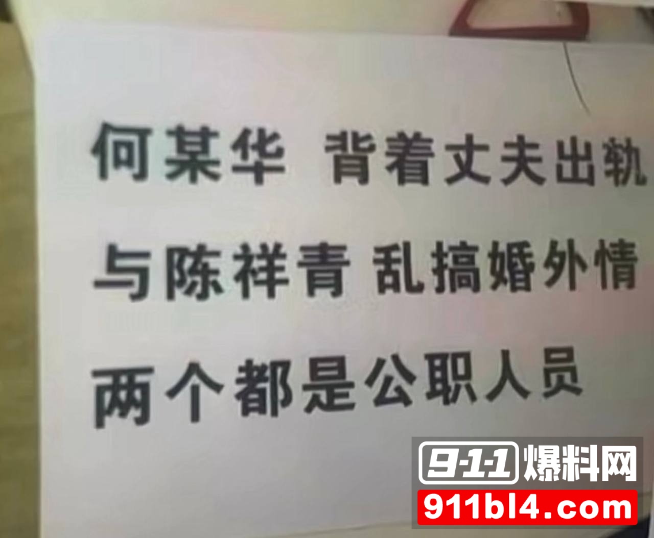 广东阳江警官陈祥青与银行行长何靖华地下情曝光3