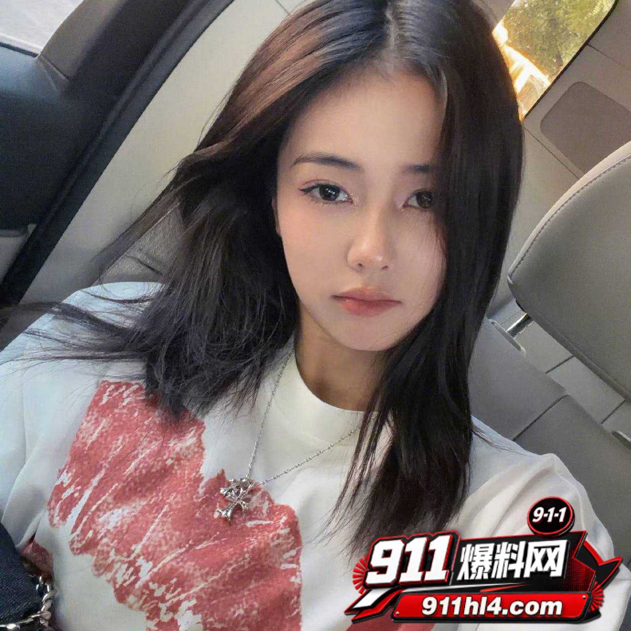 白鹭54 白鹭54
