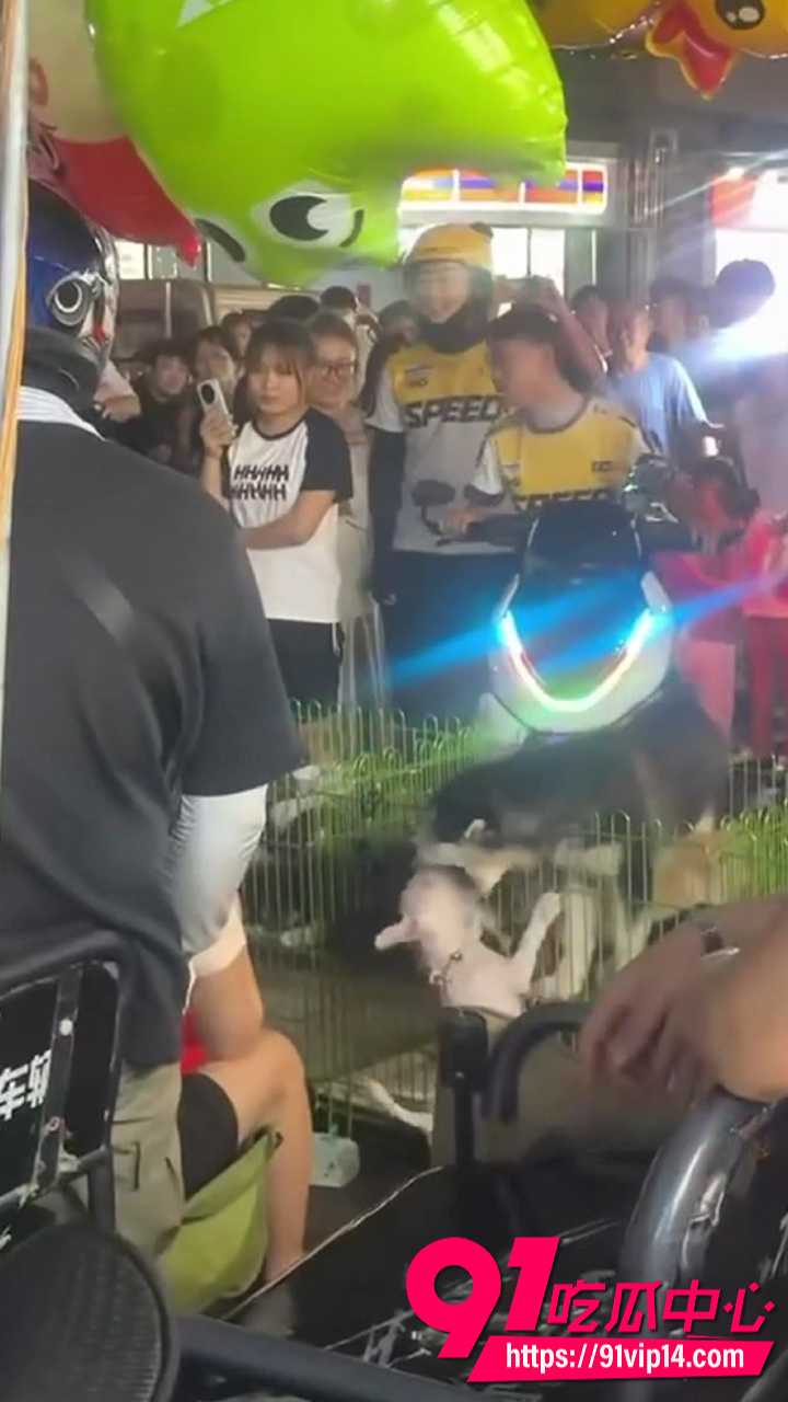 青岛即墨宝龙广场夜市狗贩纠纷2