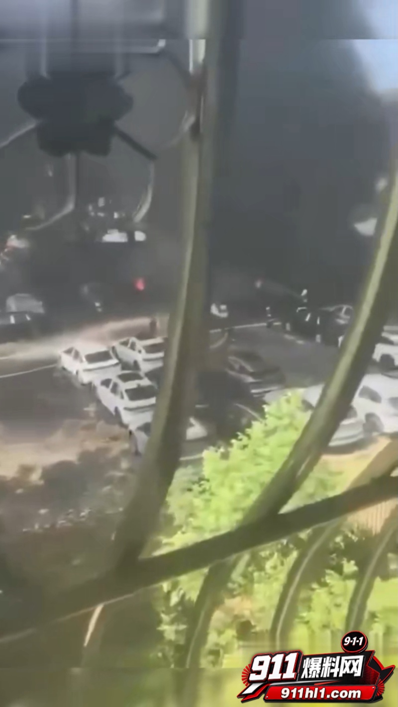 辽宁74岁老人纵火烧车 4