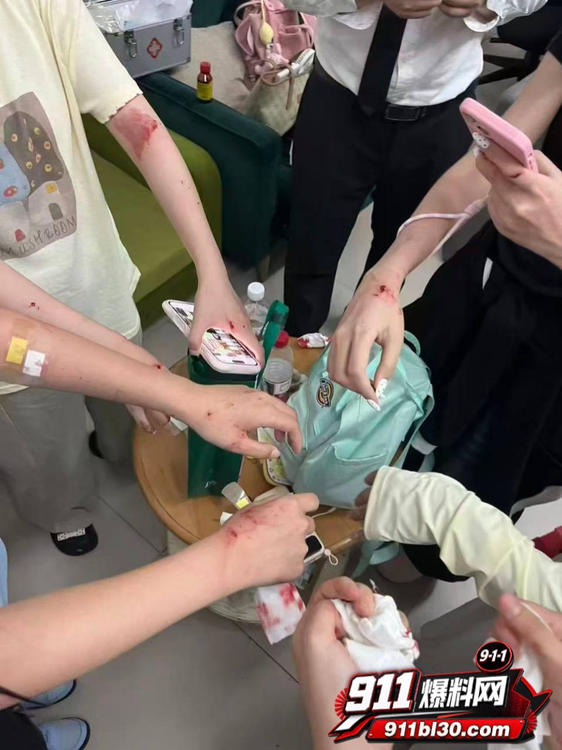 张凌赫狂热女粉丝挤碎玻璃门 11