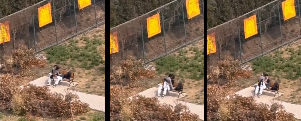 大学生情侣校园户外长椅公开激战被围观